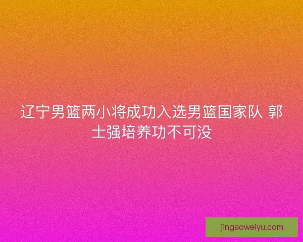 辽宁男篮两小将成功入选男篮国家队 郭士强培养功不可没