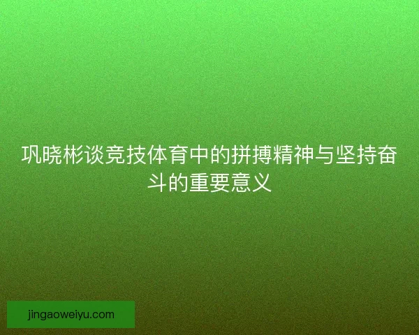 巩晓彬谈竞技体育中的拼搏精神与坚持奋斗的重要意义